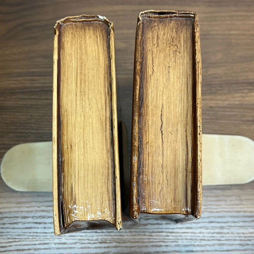 Vintage‎ snowy Owl Barn Owl Handmade Wooden Shellac Book Ends
